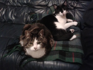Bess and Mo on Sofa 1