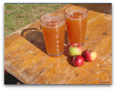 apple-cider-vinegar-and-honey